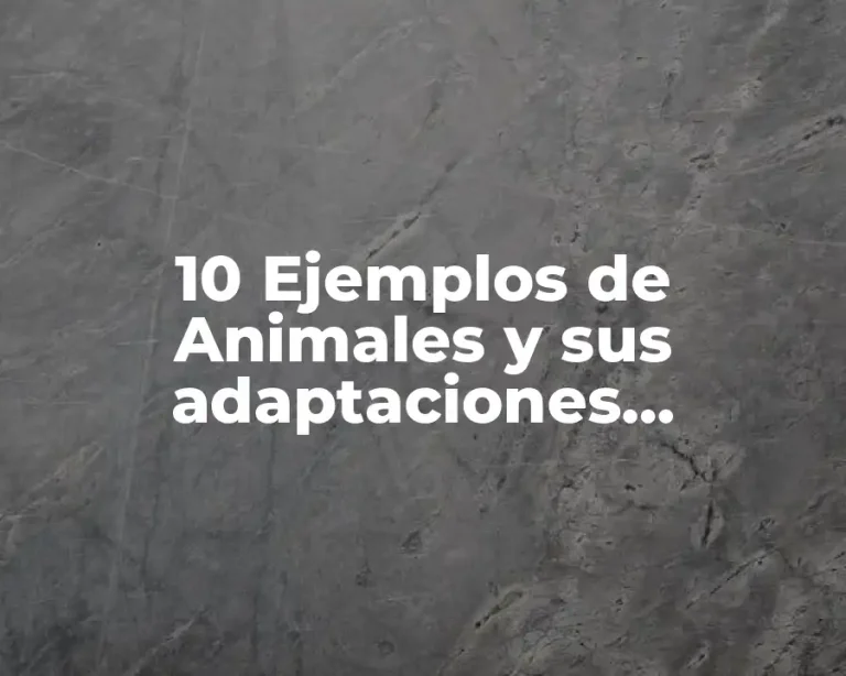 10 Ejemplos de Animales y sus adaptaciones morfológicas para nutrirse