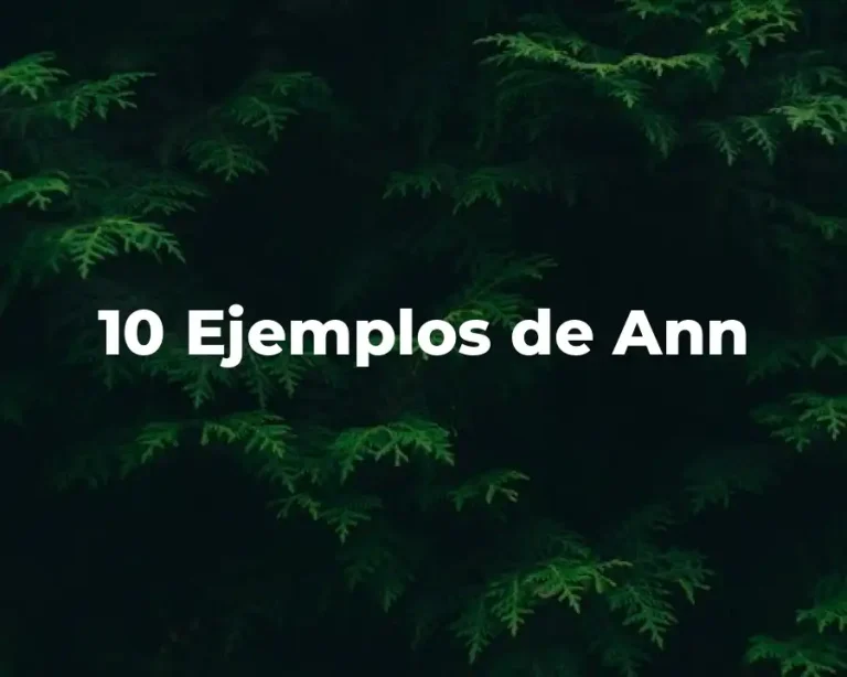 10 Ejemplos de Ann