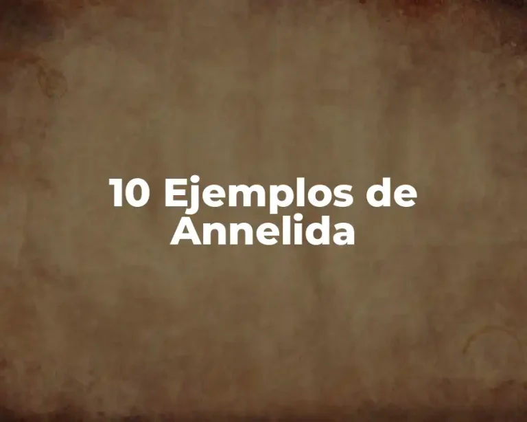 10 Ejemplos de Annelida