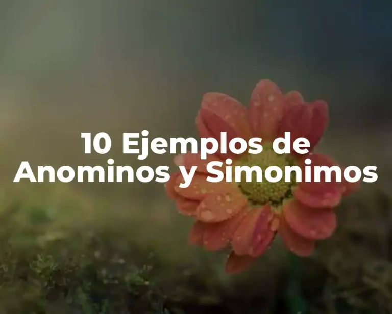 10 Ejemplos de Anominos y Simonimos