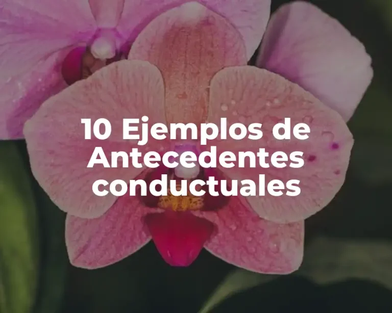 10 Ejemplos de Antecedentes conductuales