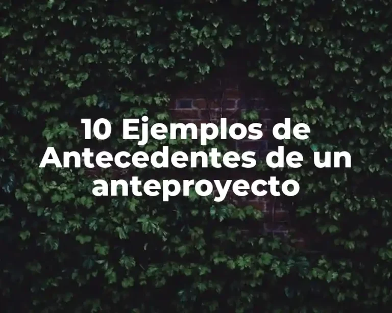 10 Ejemplos de Antecedentes de un anteproyecto