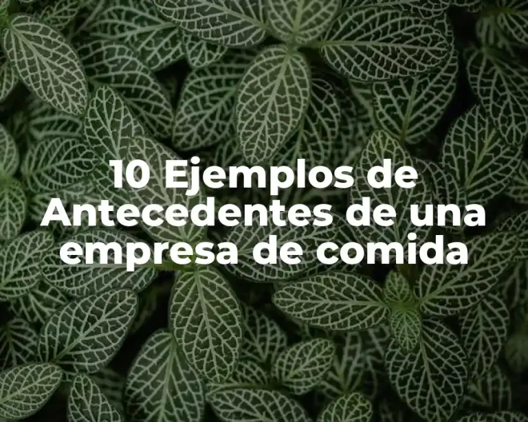 10 Ejemplos de Antecedentes de una empresa de comida