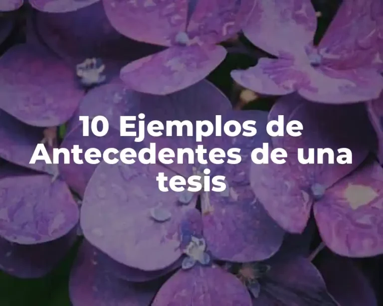 10 Ejemplos de Antecedentes de una tesis