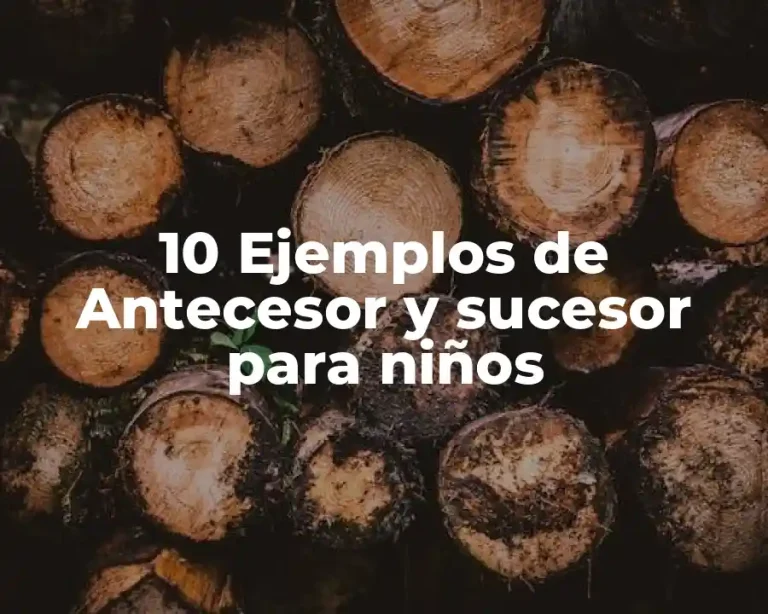 10 Ejemplos de Antecesor y sucesor para niños