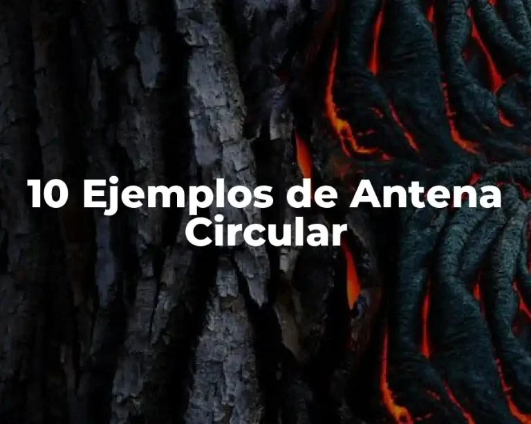 10 Ejemplos de Antena Circular