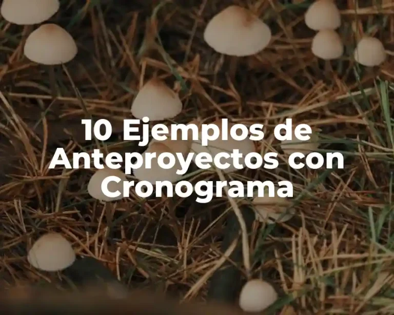10 Ejemplos de Anteproyectos con Cronograma