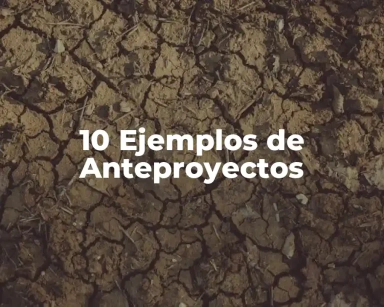 10 Ejemplos de Anteproyectos