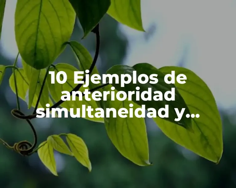 10 Ejemplos de anterioridad simultaneidad y posterioridad