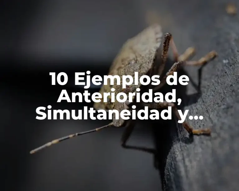 10 Ejemplos de Anterioridad, Simultaneidad y Sucesión