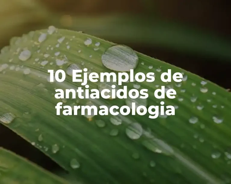 10 Ejemplos de antiacidos de farmacologia