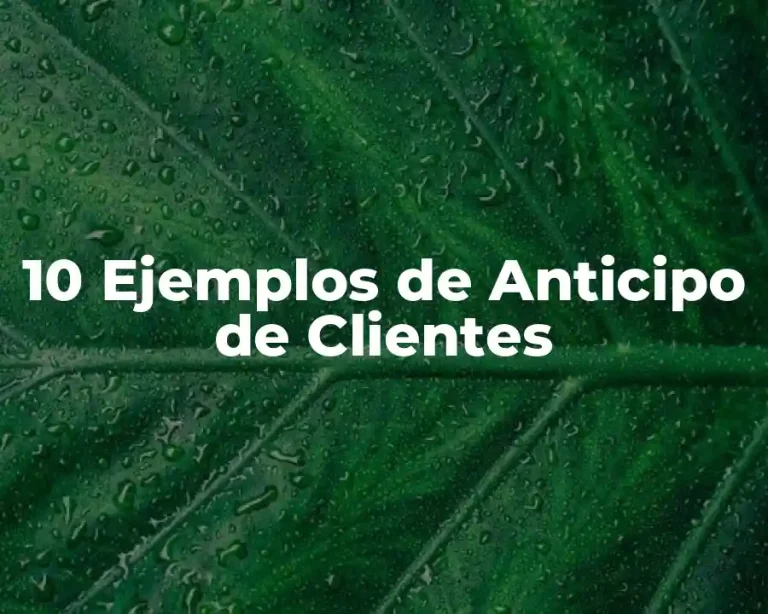 10 Ejemplos de Anticipo de Clientes