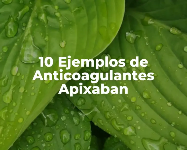 10 Ejemplos de Anticoagulantes Apixaban
