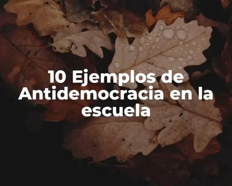 10 Ejemplos de Antidemocracia en la escuela