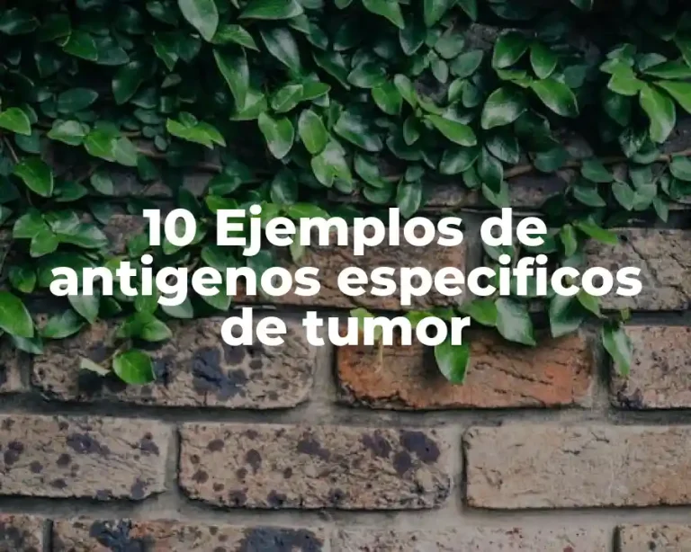 10 Ejemplos de antigenos especificos de tumor
