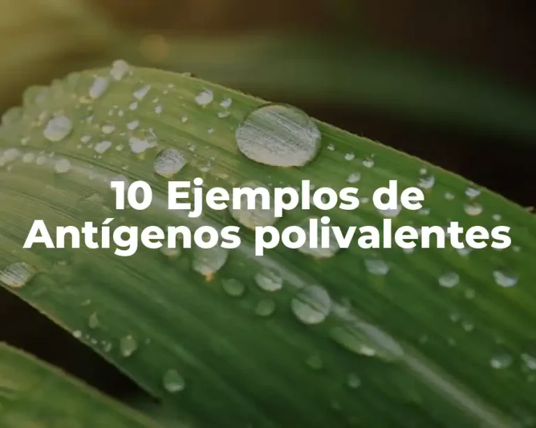 10 Ejemplos de Antígenos polivalentes