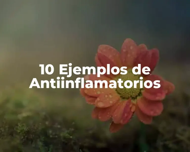 10 Ejemplos de Antiinflamatorios