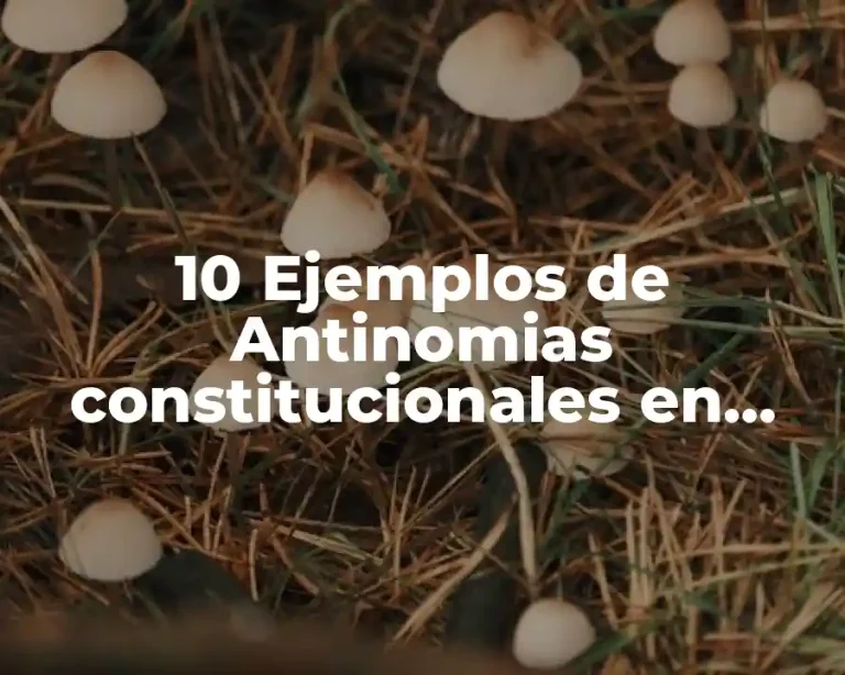 10 Ejemplos de Antinomias constitucionales en México