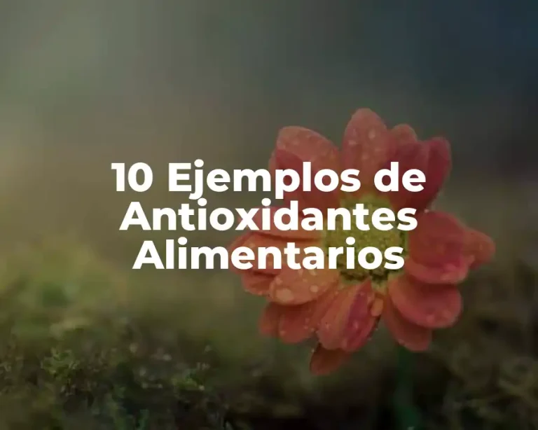 10 Ejemplos de Antioxidantes Alimentarios