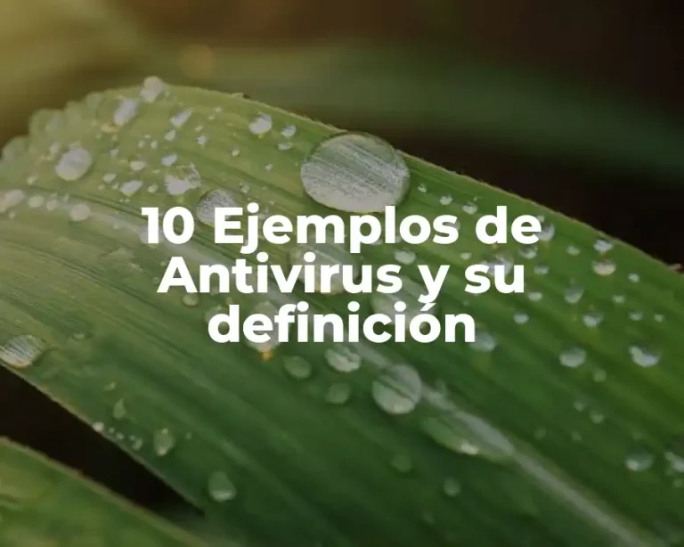 10 Ejemplos de Antivirus y su definición
