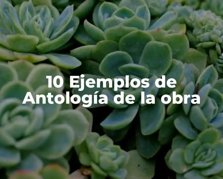 10 Ejemplos de Antología de la obra