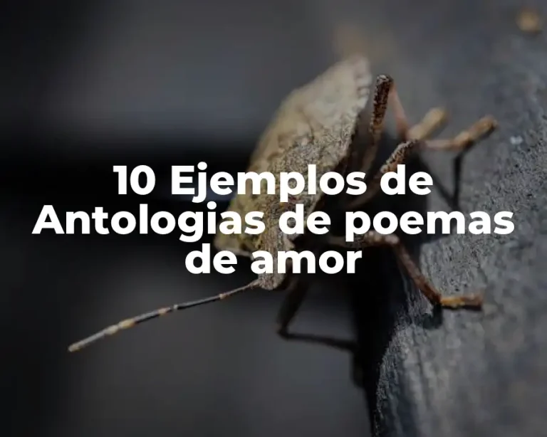 10 Ejemplos de Antologias de poemas de amor