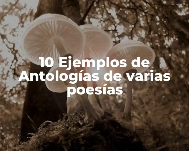 10 Ejemplos de Antologías de varias poesías