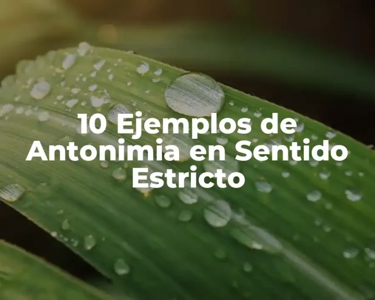 10 Ejemplos de Antonimia en Sentido Estricto