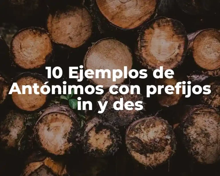 10 Ejemplos de Antónimos con prefijos in y des
