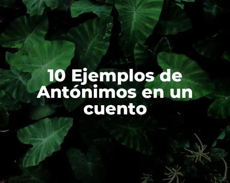 10 Ejemplos de Antónimos en un cuento