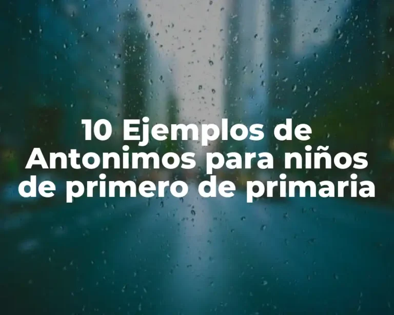 10 Ejemplos de Antonimos para niños de primero de primaria