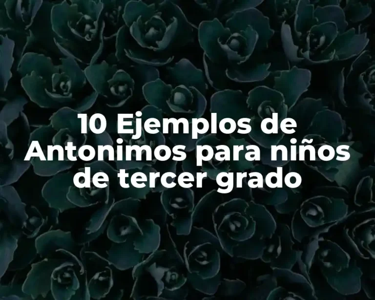 10 Ejemplos de Antonimos para niños de tercer grado