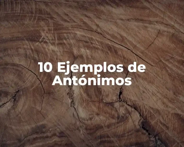 10 Ejemplos de Antónimos