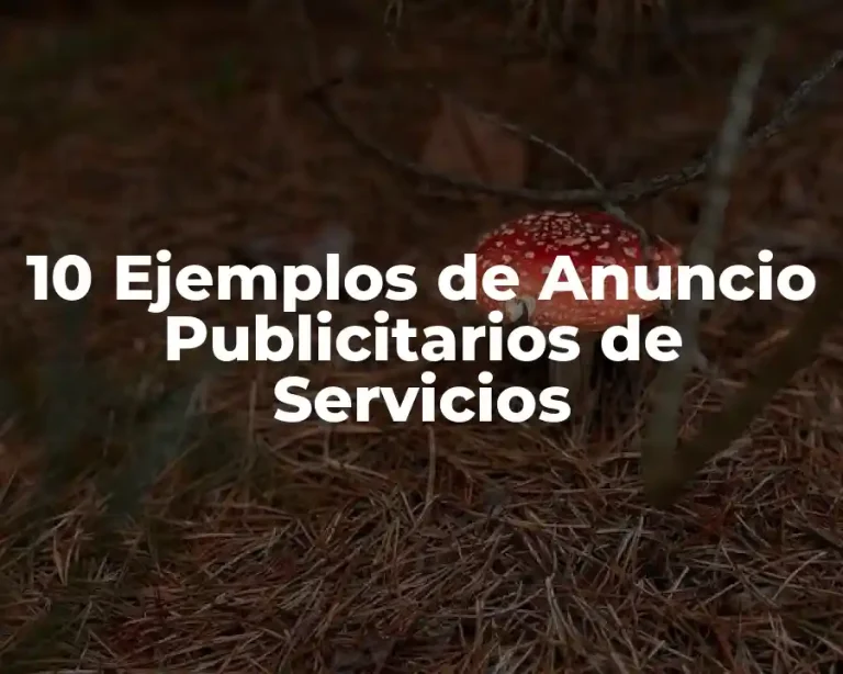 10 Ejemplos de Anuncio Publicitarios de Servicios