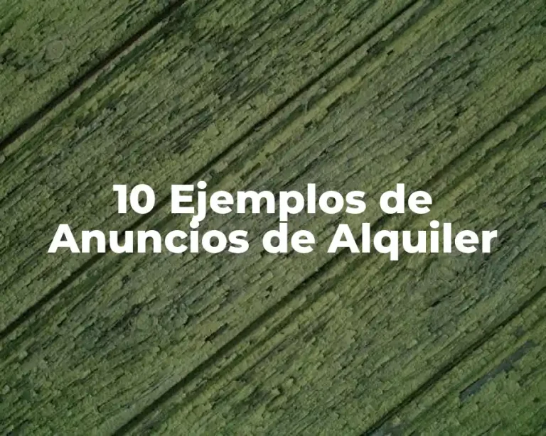 10 Ejemplos de Anuncios de Alquiler