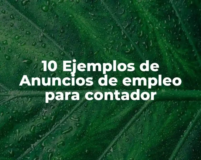 10 Ejemplos de Anuncios de empleo para contador