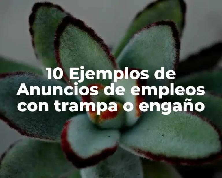 10 Ejemplos de Anuncios de empleos con trampa o engaño
