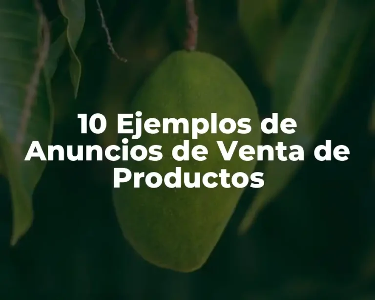 10 Ejemplos de Anuncios de Venta de Productos