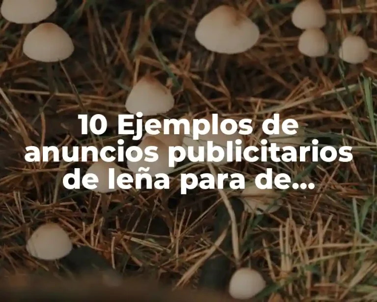 10 Ejemplos de anuncios publicitarios de leña para de mezquite