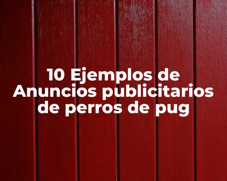 10 Ejemplos de Anuncios publicitarios de perros de pug