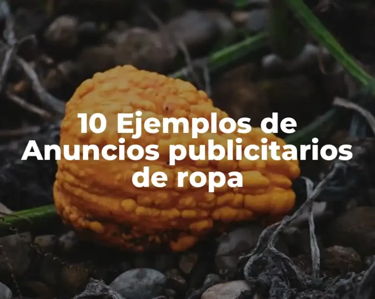 10 Ejemplos de Anuncios publicitarios de ropa