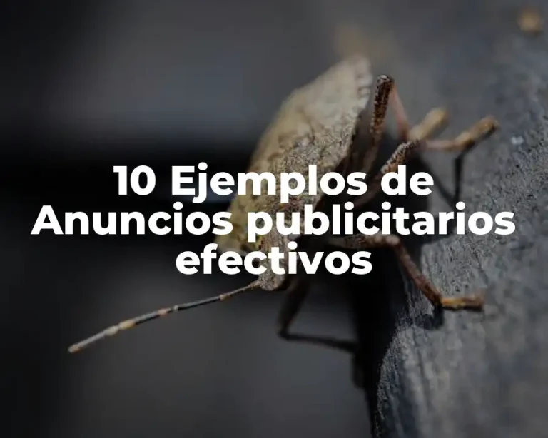 10 Ejemplos de Anuncios publicitarios efectivos