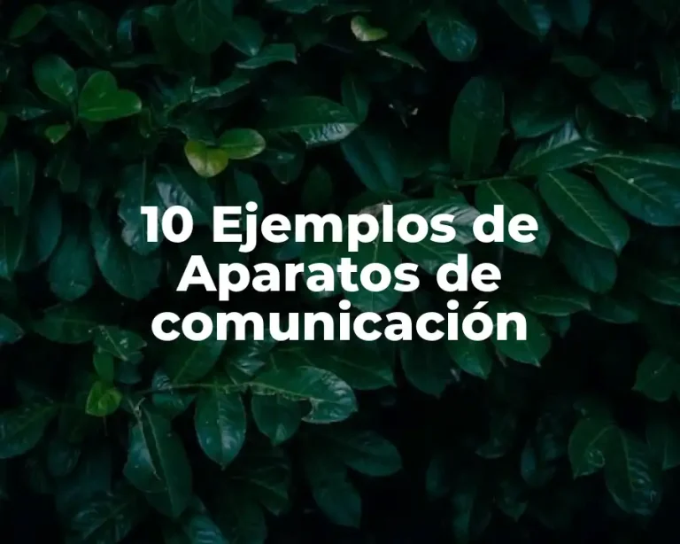 10 Ejemplos de Aparatos de comunicación