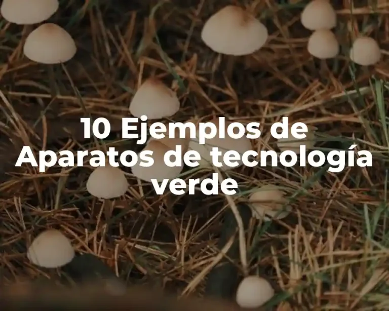 10 Ejemplos de Aparatos de tecnología verde