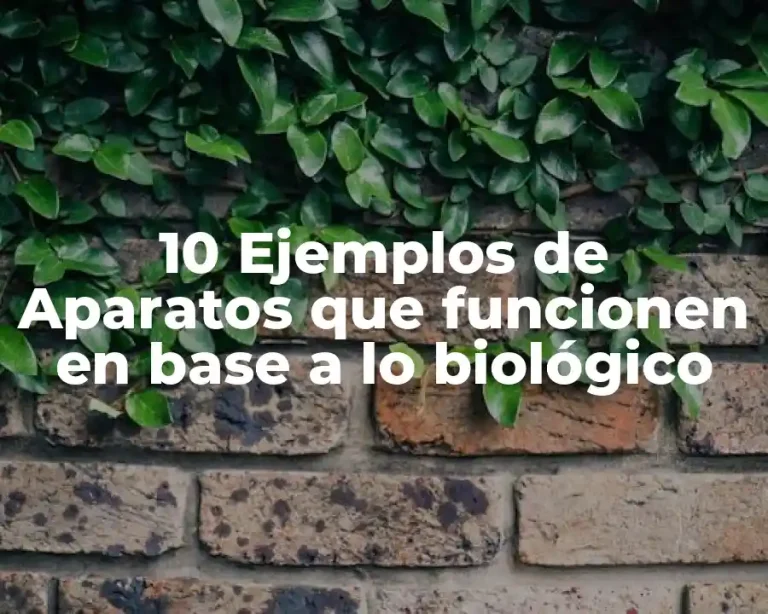 10 Ejemplos de Aparatos que funcionen en base a lo biológico