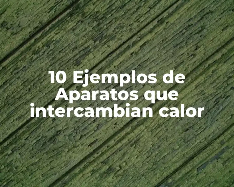 10 Ejemplos de Aparatos que intercambian calor