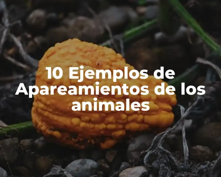 10 Ejemplos de Apareamientos de los animales