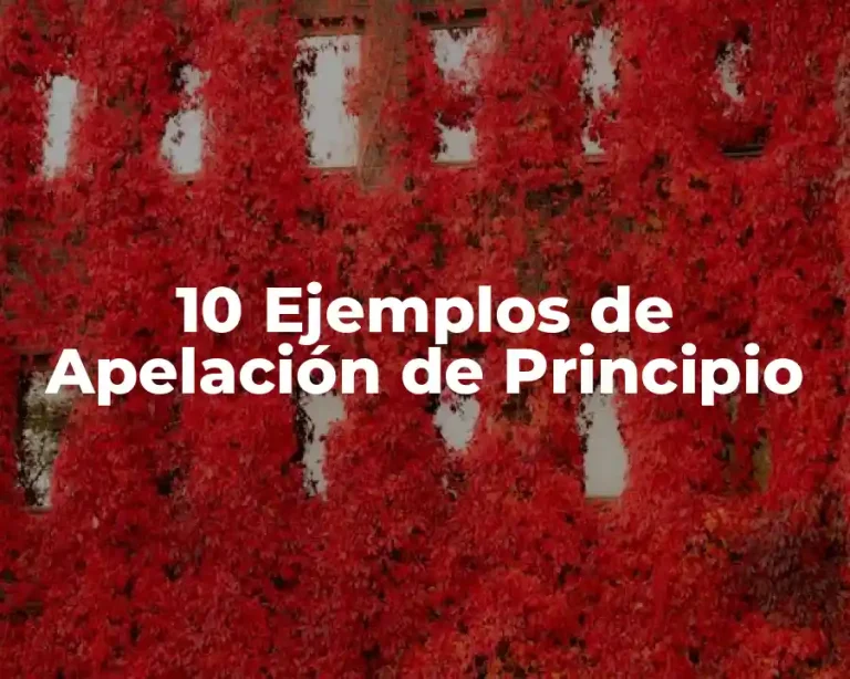 10 Ejemplos de Apelación de Principio