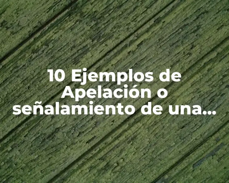10 Ejemplos de Apelación o señalamiento de una tradición