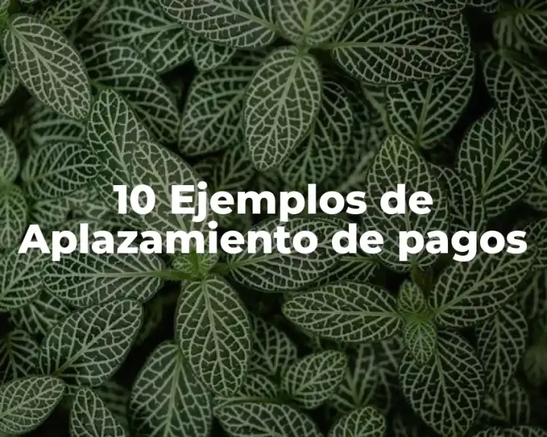 10 Ejemplos de Aplazamiento de pagos